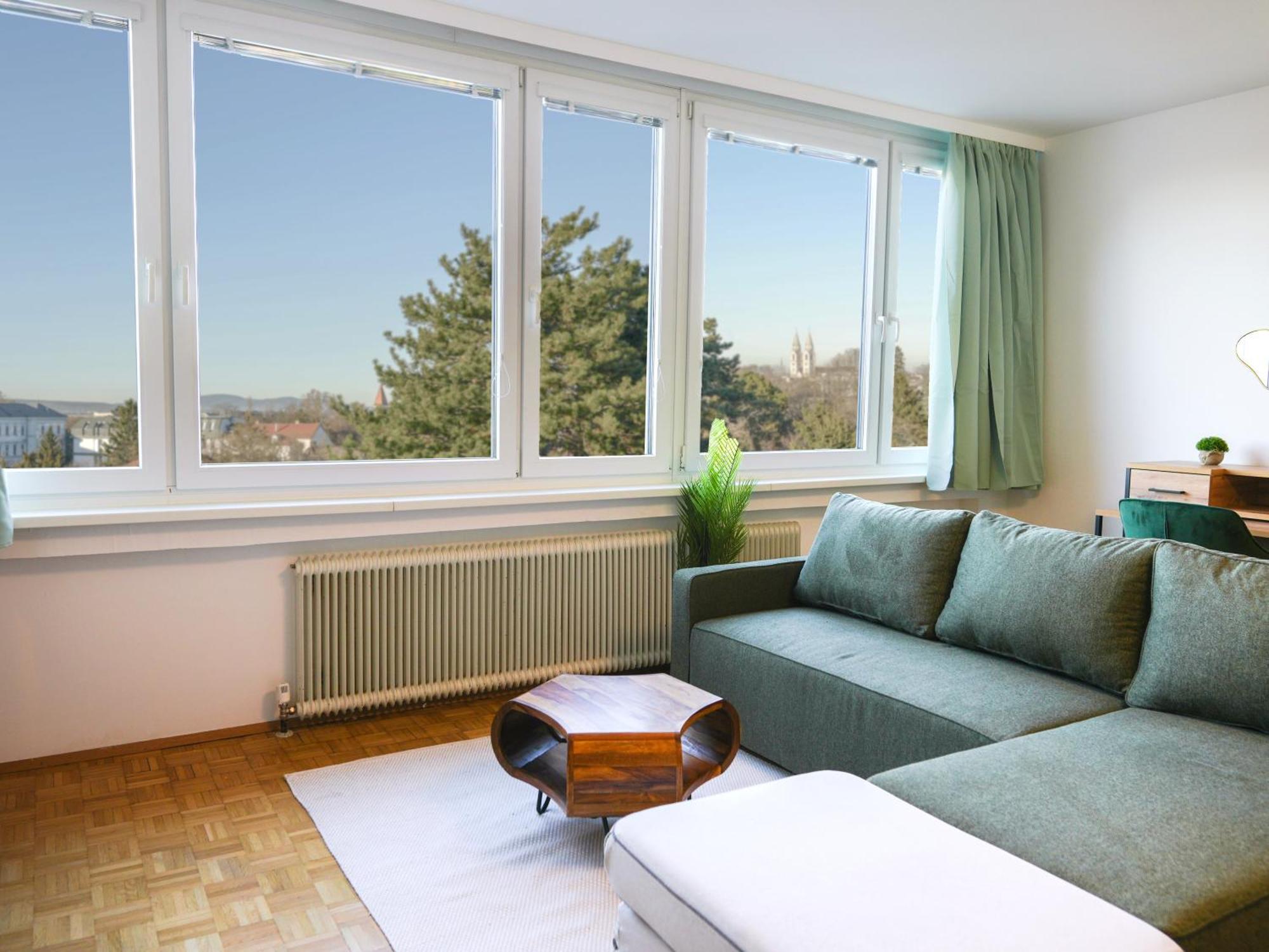 Spacious Apartments With View & Free Parking Bécsújhely Kültér fotó
